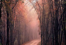 手机虎扑：国米对阵帕尔马战绩：29胜19平19负，进98球，丢83球.