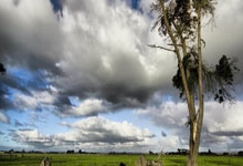 [NBA]赢了！扳回一场避免被横扫.