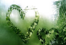 自由式滑雪——世锦赛：男子空中技巧决赛赛况.