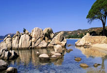 手机虎扑：劳尔-阿森西奥：入选国家队是每个孩子的梦 在皇马每天都在学习.